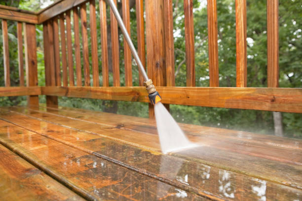 Local Pressure Washing Services in Lakeland, GA